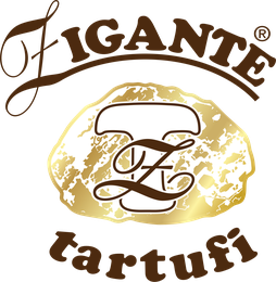 Zigante logosu